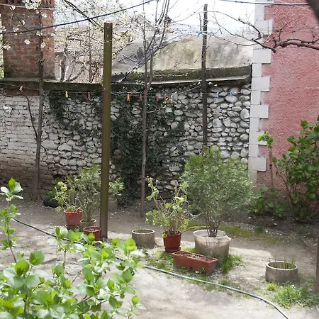 Aste * Tropoje